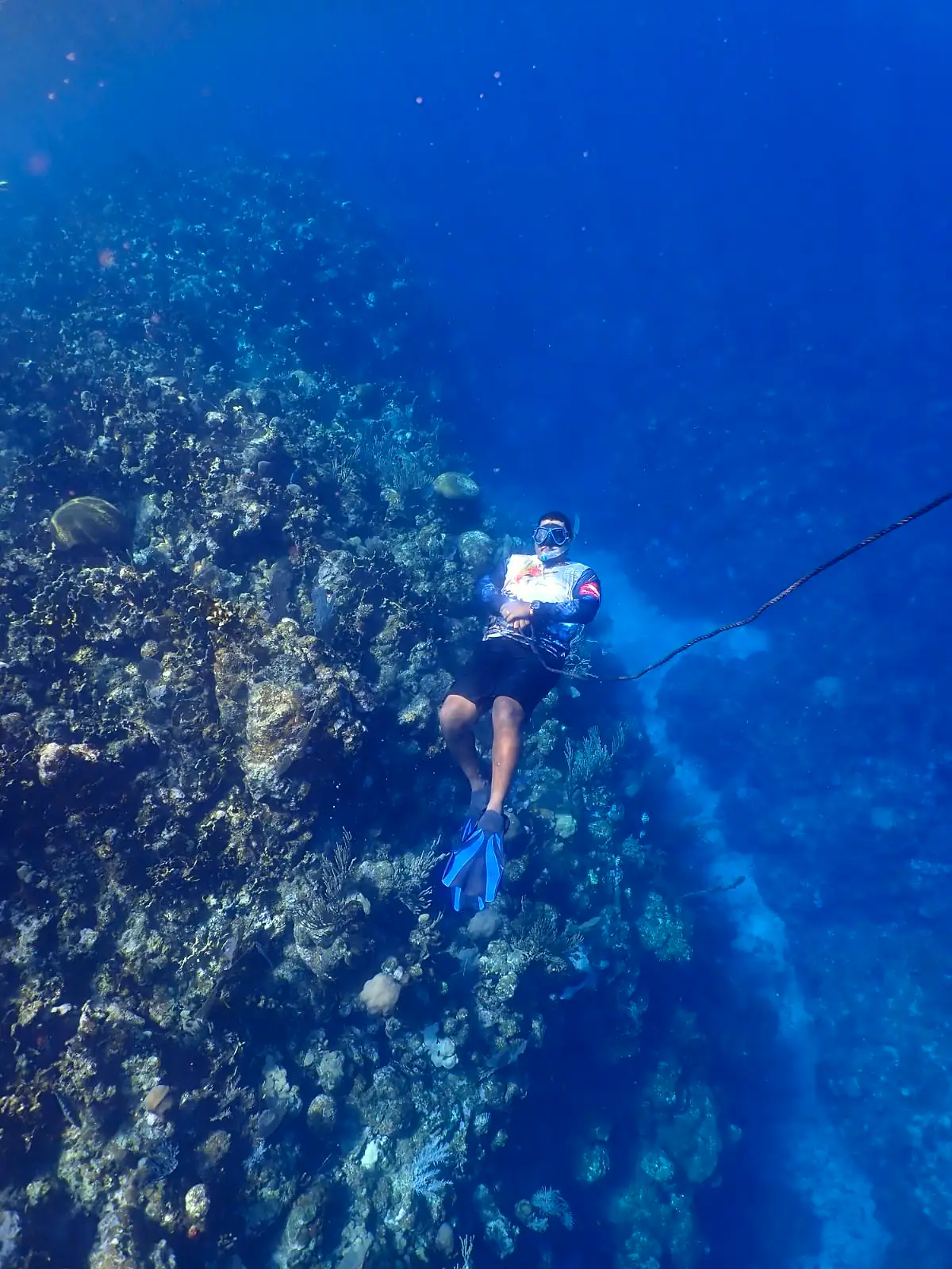 Best of Roatan: Wildlife, Reef & Beach photo 5