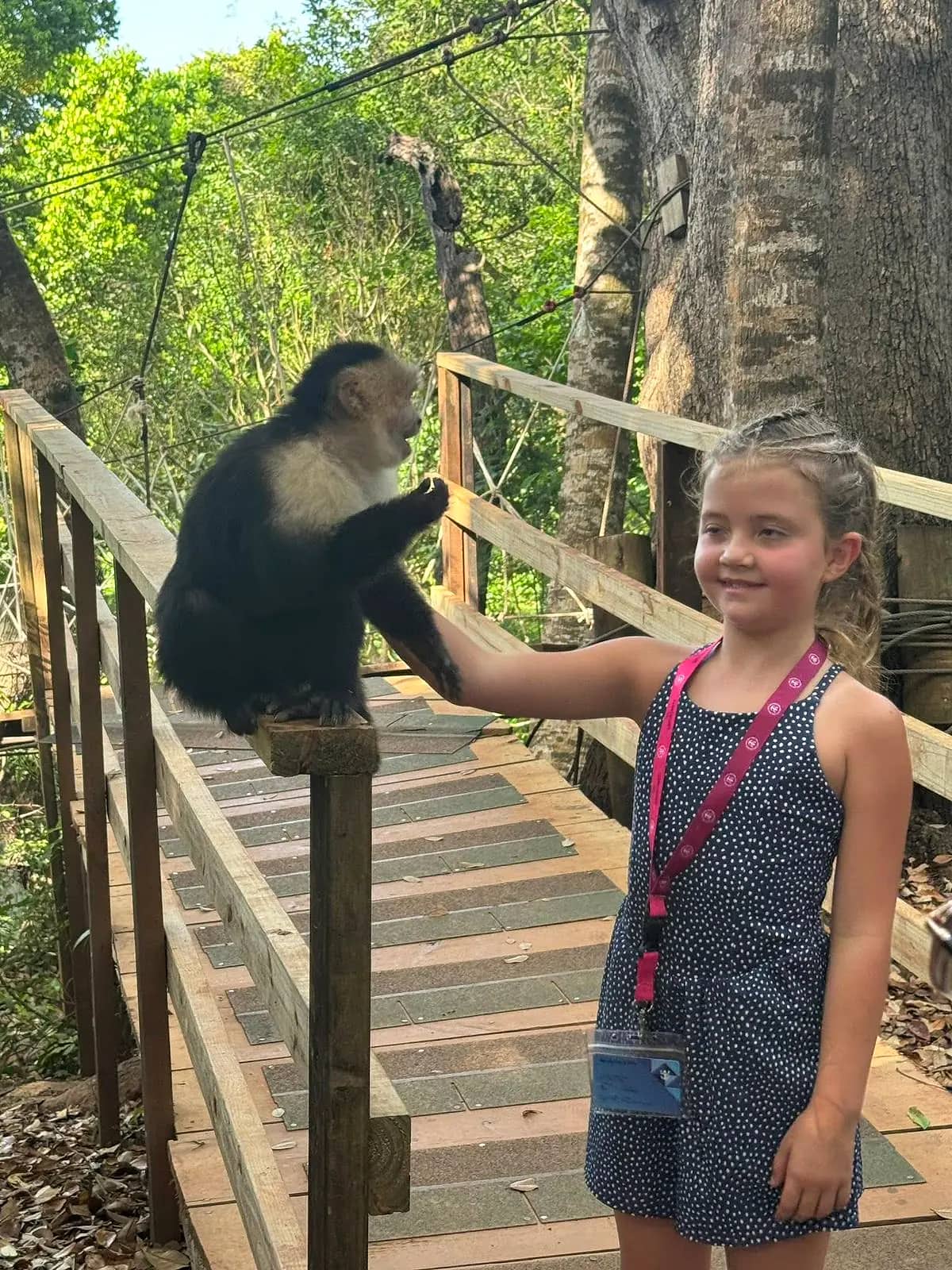 Roatan Highlights: Wildlife, Chocolate & Rum photo 5