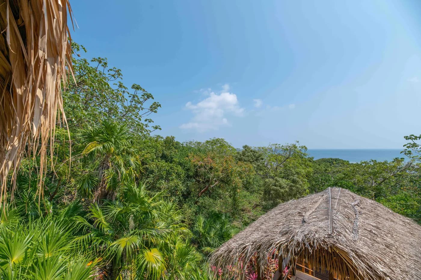 View from the cabin across treetops toward the Caribbean
