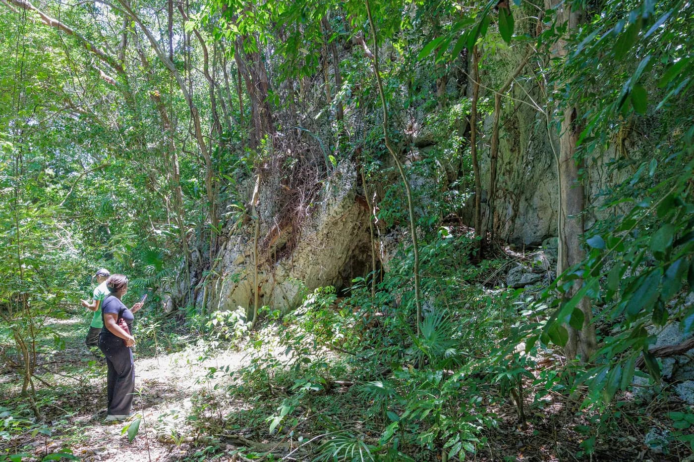 A visitor beside a rocky outcrop beneath tall trees on Saint Helene