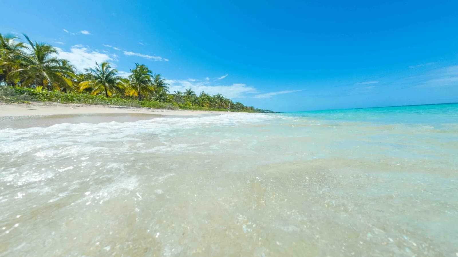 Camp Bay Beach with palms and clear Caribbean water