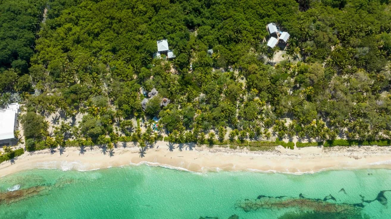 Overhead view of Camp Bay's beach, reef and forest