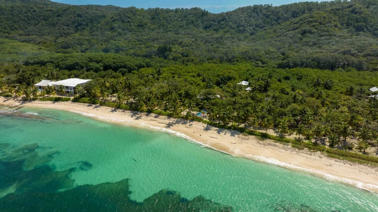 Aerial view of the Camp Bay shoreline and forest