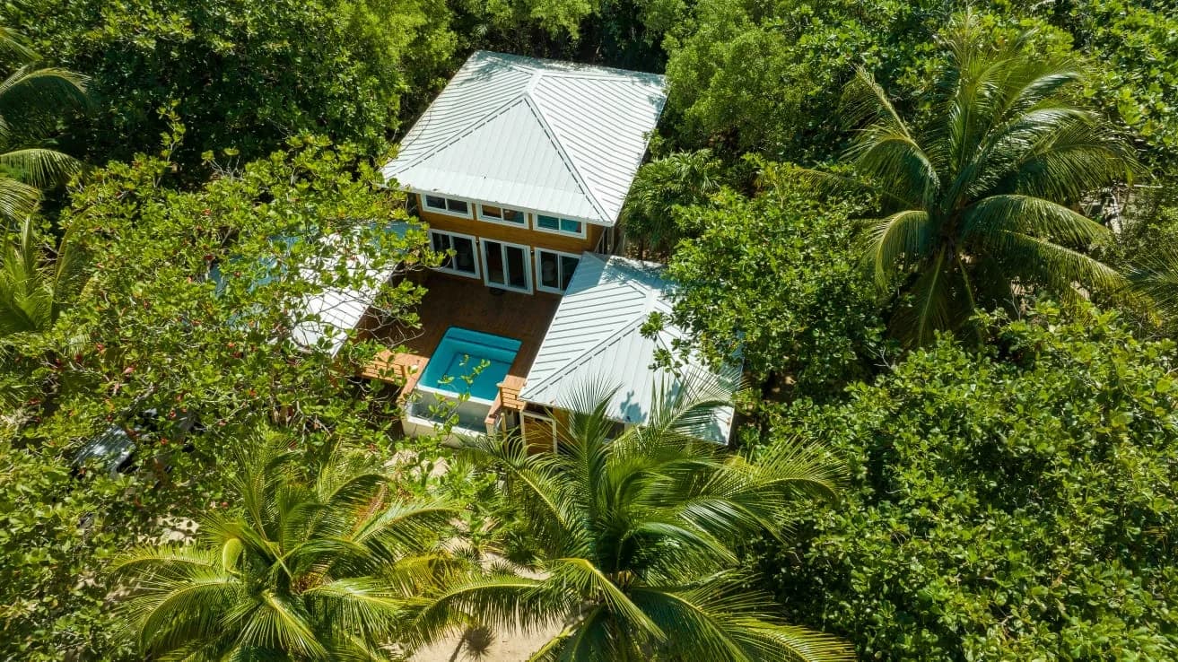 Aerial view of Caulfields Cottage among the trees in Camp Bay