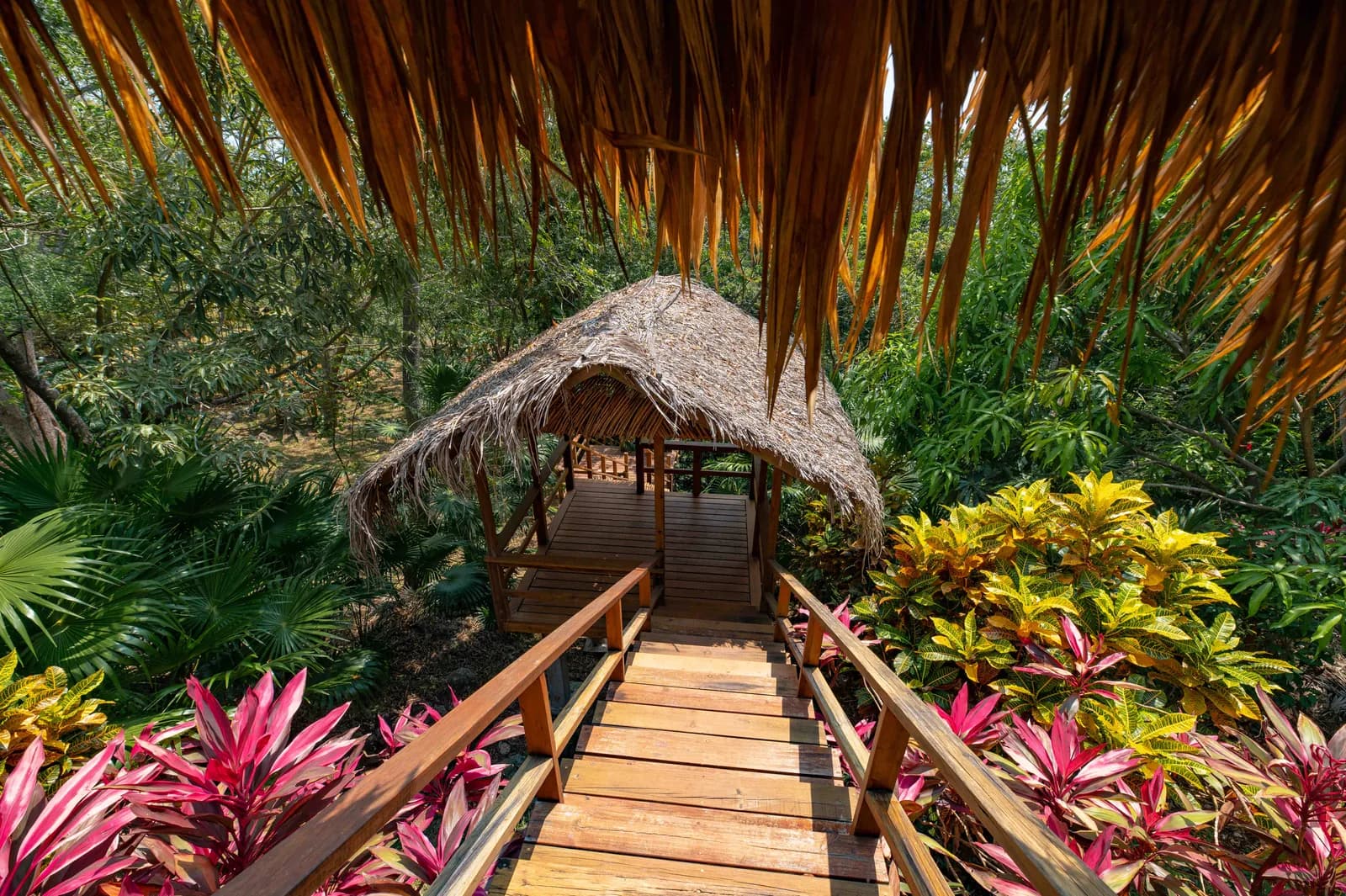 A wooden walkway through tropical plants leading to the Saint Helene forest cabin
