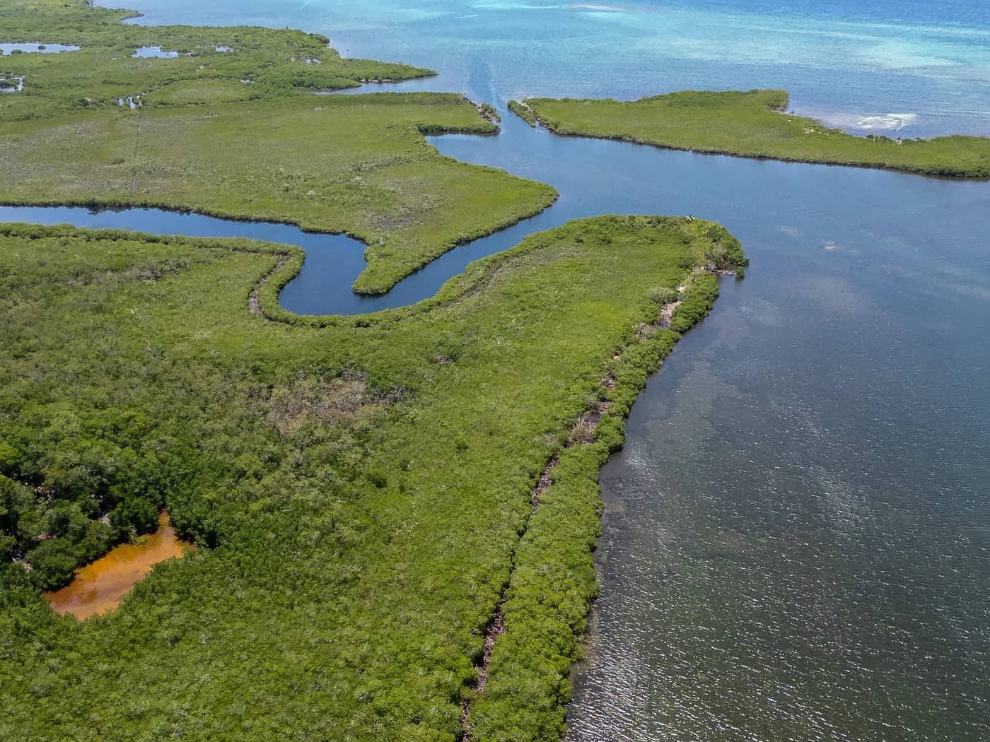 Turtles, Mangroves & Garifuna Culture